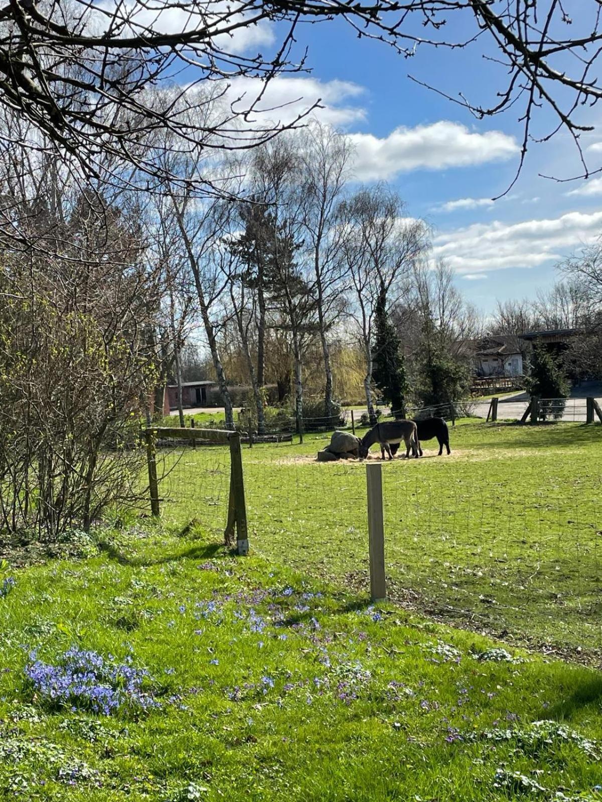 Beltblick Apartman Fehmarn Kültér fotó