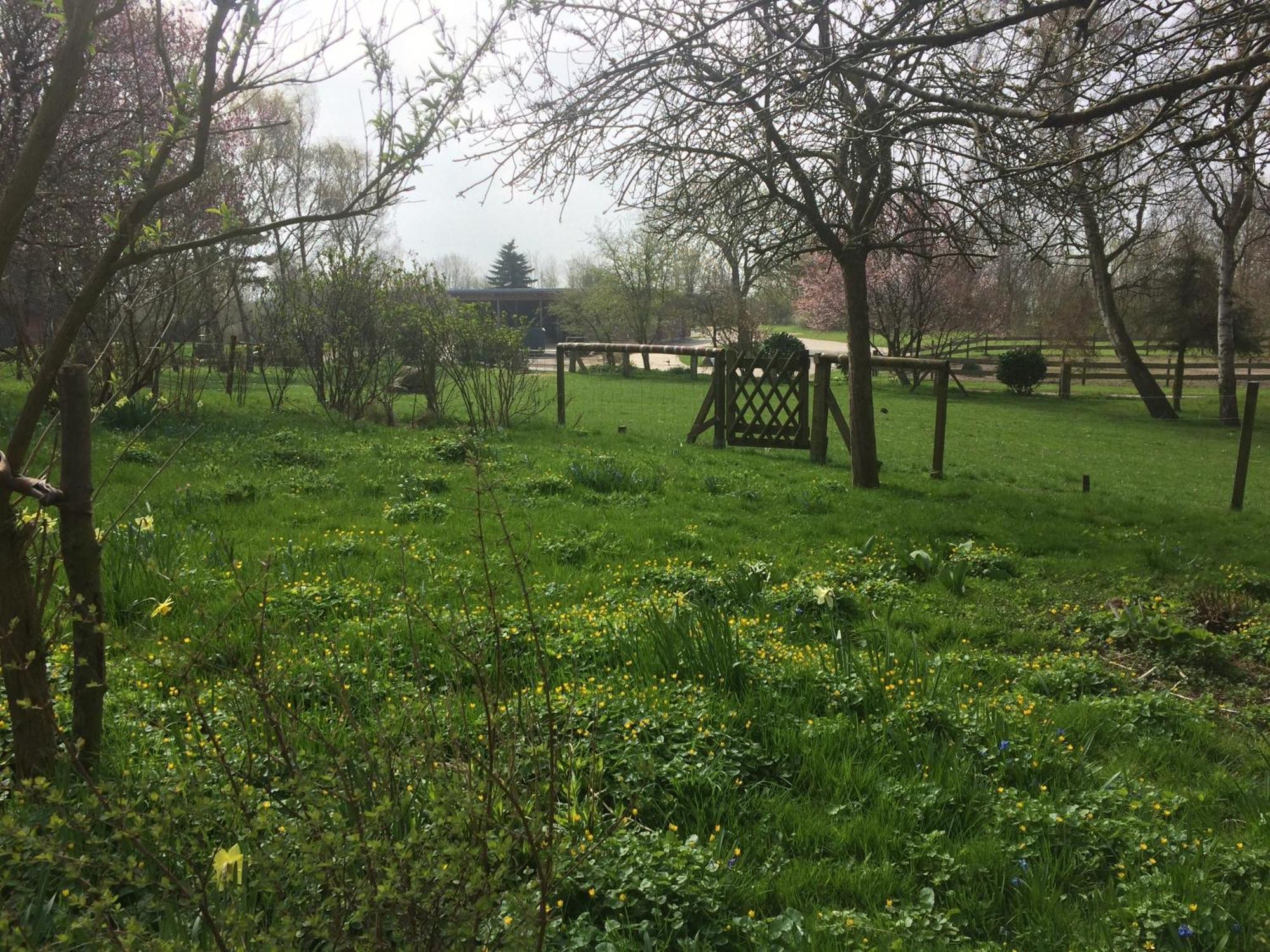 Beltblick Apartman Fehmarn Kültér fotó